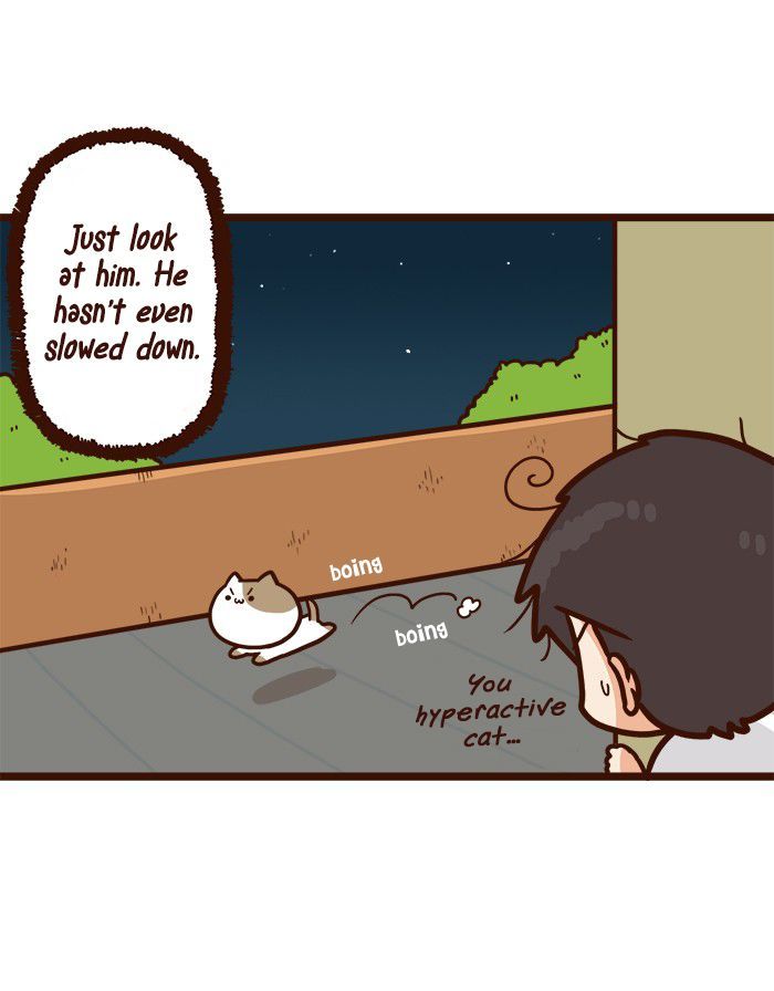The Salary Man & Tofu the Funny Cat Chapter 7 page 9 - Chapter 7 : Plan B