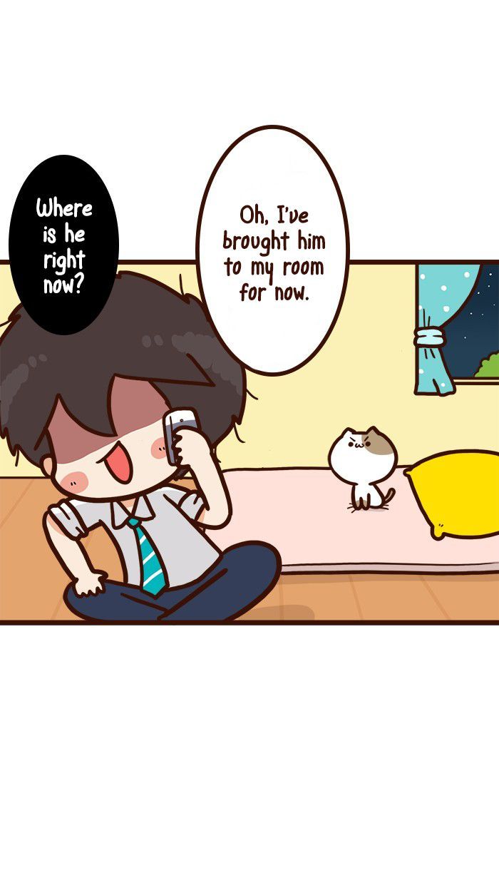 The Salary Man & Tofu the Funny Cat Chapter 8 page 10 - Chapter 8 : He hasn't got socks!