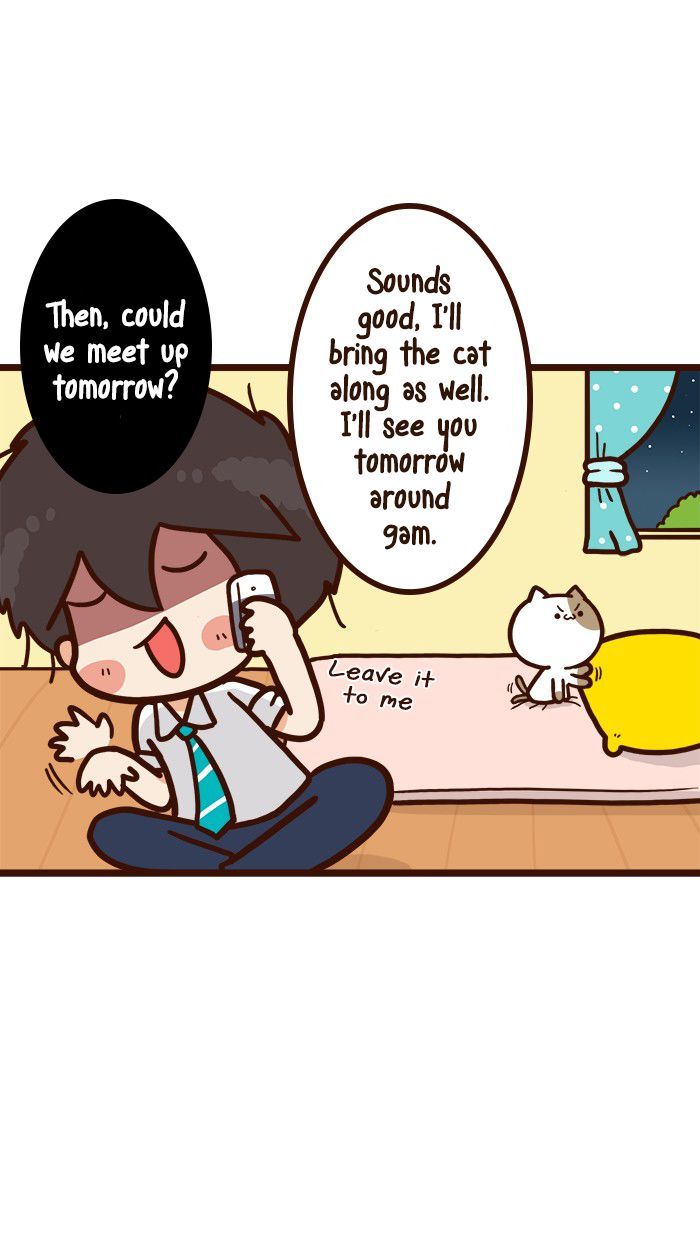 The Salary Man & Tofu the Funny Cat Chapter 8 page 11 - Chapter 8 : He hasn't got socks!