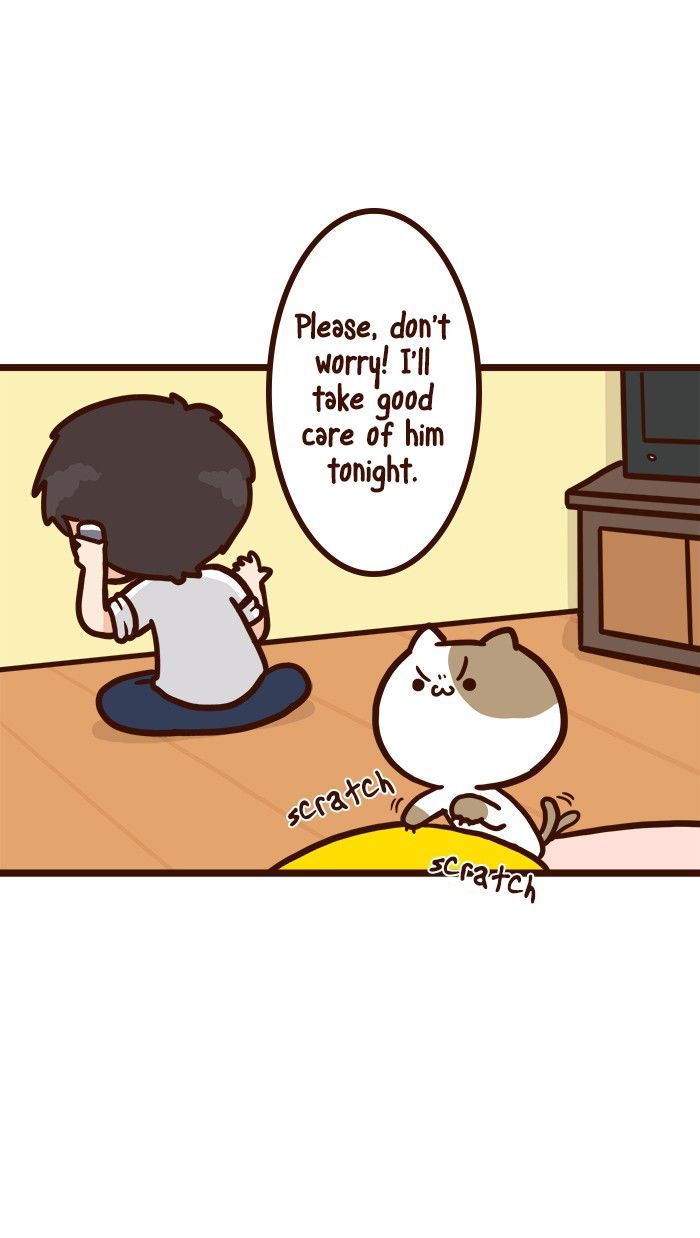 The Salary Man & Tofu the Funny Cat Chapter 8 page 12 - Chapter 8 : He hasn't got socks!