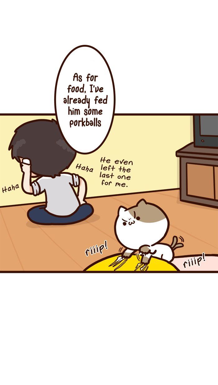The Salary Man & Tofu the Funny Cat Chapter 8 page 13 - Chapter 8 : He hasn't got socks!