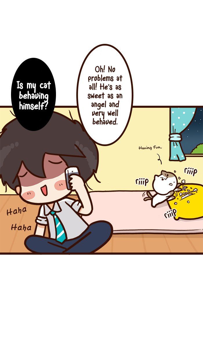 The Salary Man & Tofu the Funny Cat Chapter 8 page 14 - Chapter 8 : He hasn't got socks!