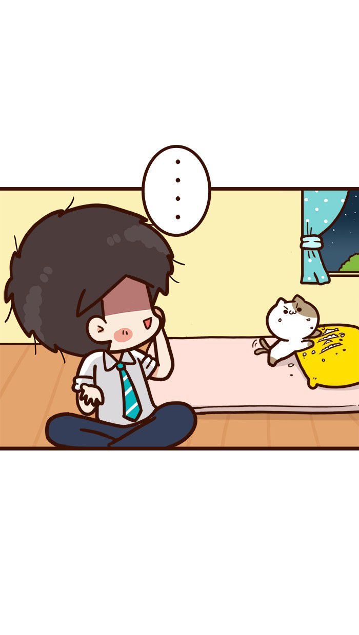 The Salary Man & Tofu the Funny Cat Chapter 8 page 16 - Chapter 8 : He hasn't got socks!
