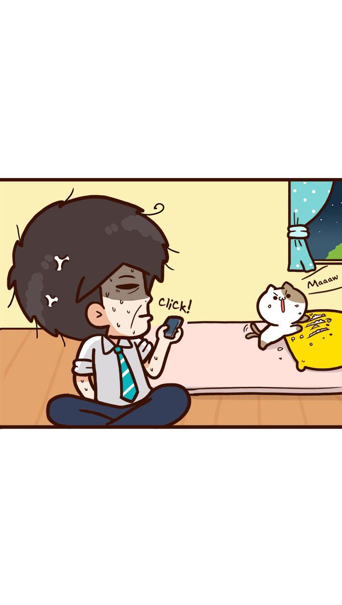 The Salary Man & Tofu the Funny Cat Chapter 8 page 18 - Chapter 8 : He hasn't got socks!