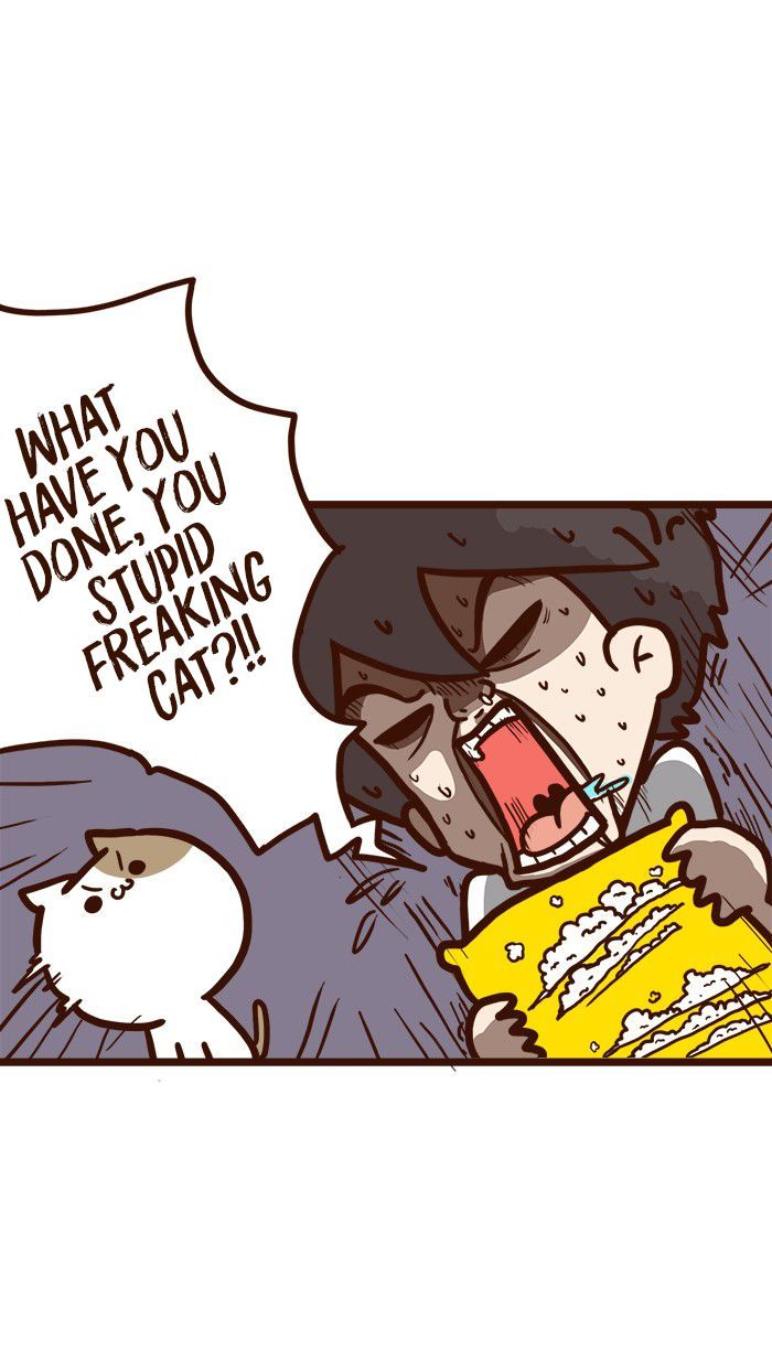 The Salary Man & Tofu the Funny Cat Chapter 8 page 19 - Chapter 8 : He hasn't got socks!