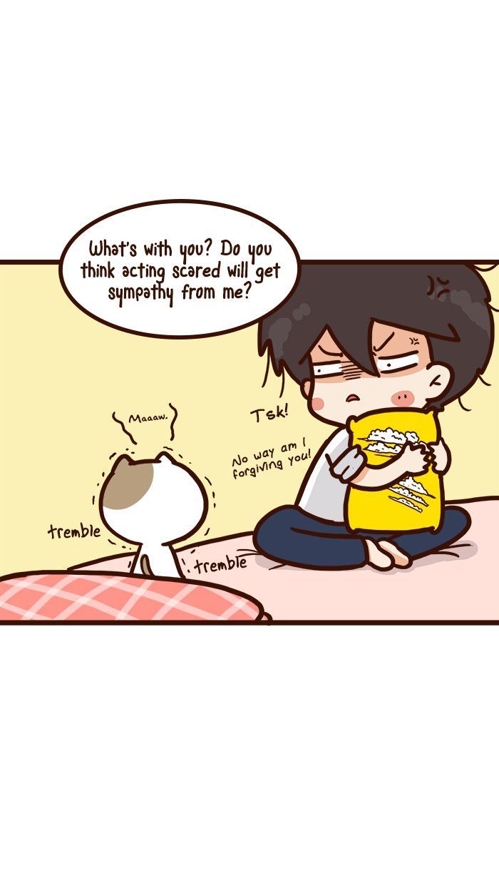 The Salary Man & Tofu the Funny Cat Chapter 8 page 22 - Chapter 8 : He hasn't got socks!