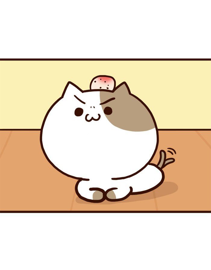 The Salary Man & Tofu the Funny Cat Chapter 8 page 29 - Chapter 8 : He hasn't got socks!