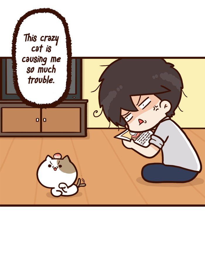 The Salary Man & Tofu the Funny Cat Chapter 8 page 30 - Chapter 8 : He hasn't got socks!