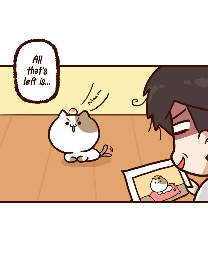 The Salary Man & Tofu the Funny Cat Chapter 8 page 33 - Chapter 8 : He hasn't got socks!