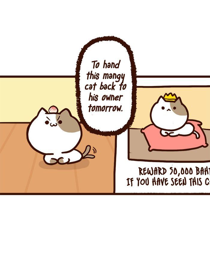 The Salary Man & Tofu the Funny Cat Chapter 8 page 34 - Chapter 8 : He hasn't got socks!