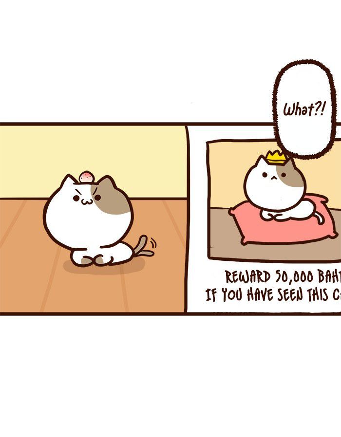 The Salary Man & Tofu the Funny Cat Chapter 8 page 35 - Chapter 8 : He hasn't got socks!