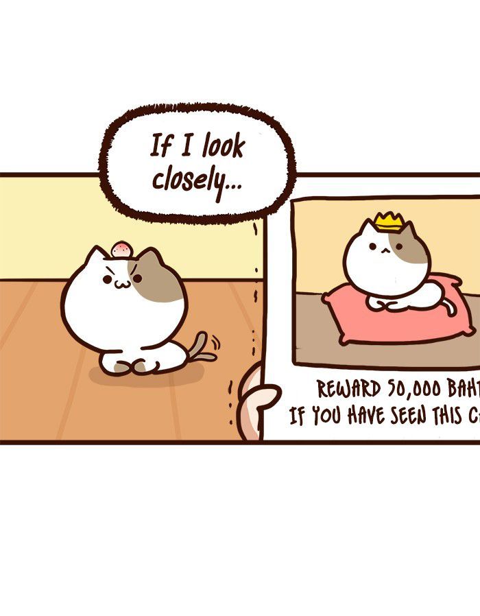 The Salary Man & Tofu the Funny Cat Chapter 8 page 37 - Chapter 8 : He hasn't got socks!