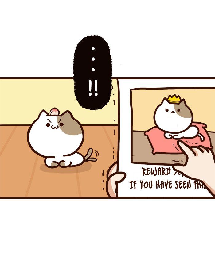 The Salary Man & Tofu the Funny Cat Chapter 8 page 38 - Chapter 8 : He hasn't got socks!