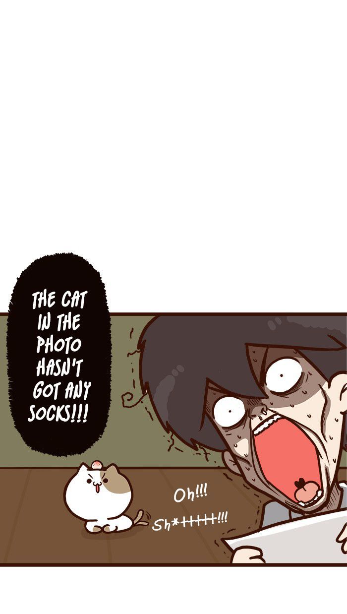 The Salary Man & Tofu the Funny Cat Chapter 8 page 39 - Chapter 8 : He hasn't got socks!