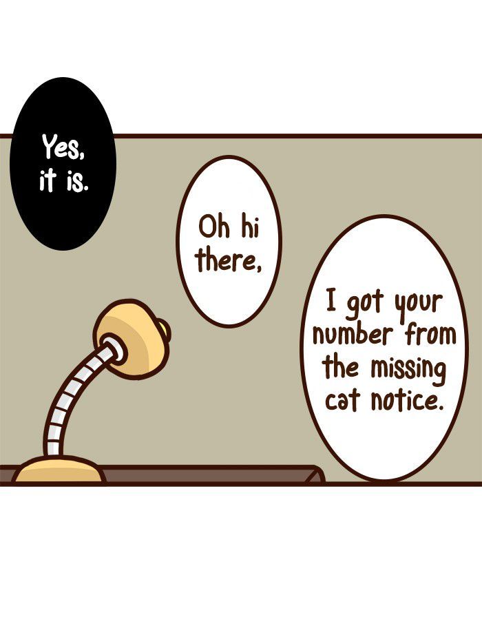 The Salary Man & Tofu the Funny Cat Chapter 8 page 7 - Chapter 8 : He hasn't got socks!