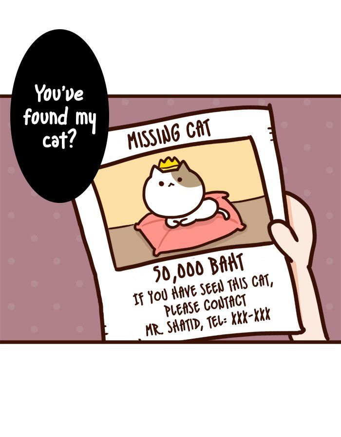 The Salary Man & Tofu the Funny Cat Chapter 8 page 8 - Chapter 8 : He hasn't got socks!