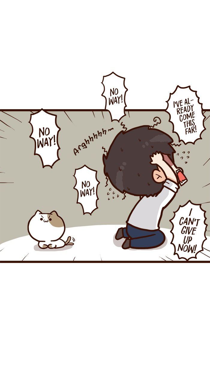 The Salary Man & Tofu the Funny Cat Chapter 9 page 13 - Chapter 9 : Piece of Cake