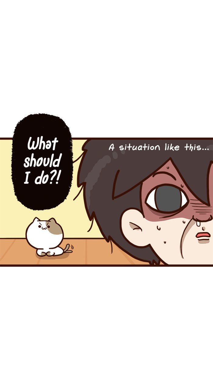 The Salary Man & Tofu the Funny Cat Chapter 9 page 14 - Chapter 9 : Piece of Cake