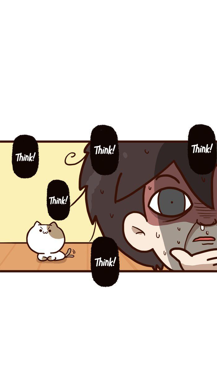 The Salary Man & Tofu the Funny Cat Chapter 9 page 15 - Chapter 9 : Piece of Cake