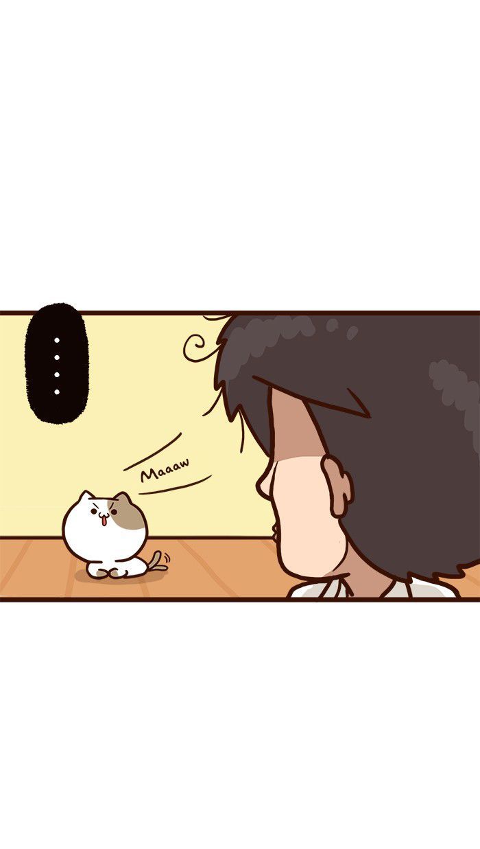 The Salary Man & Tofu the Funny Cat Chapter 9 page 16 - Chapter 9 : Piece of Cake