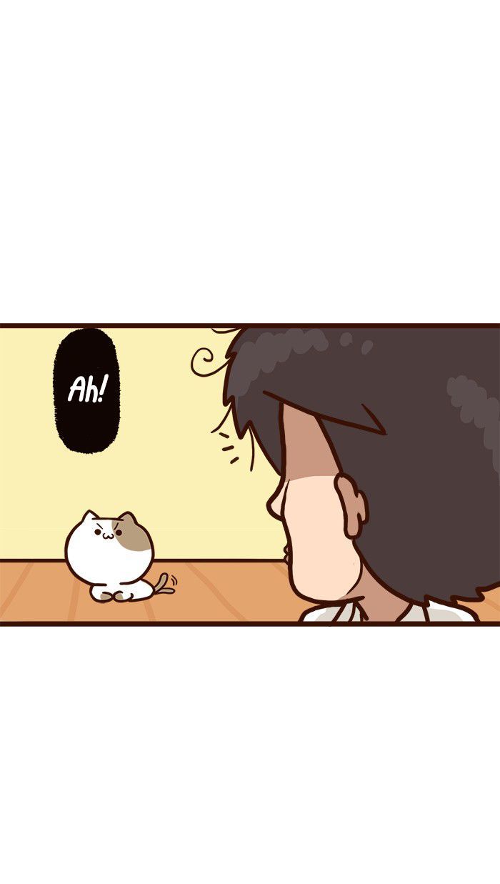 The Salary Man & Tofu the Funny Cat Chapter 9 page 17 - Chapter 9 : Piece of Cake
