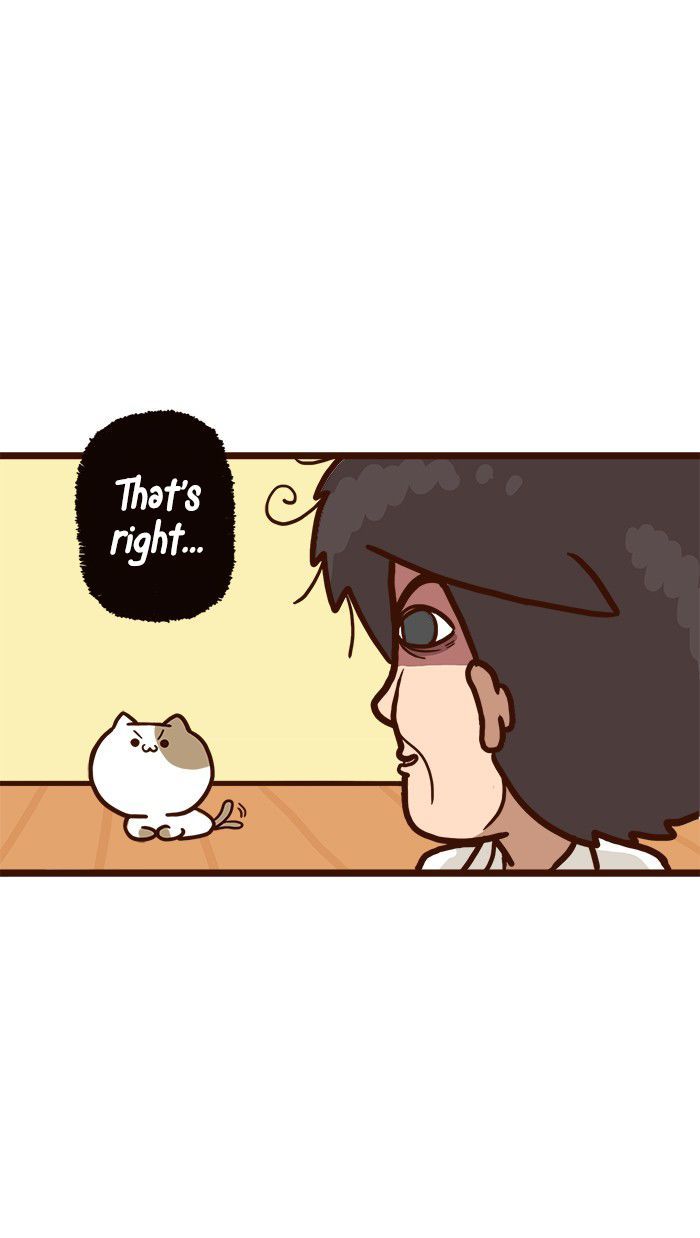 The Salary Man & Tofu the Funny Cat Chapter 9 page 18 - Chapter 9 : Piece of Cake