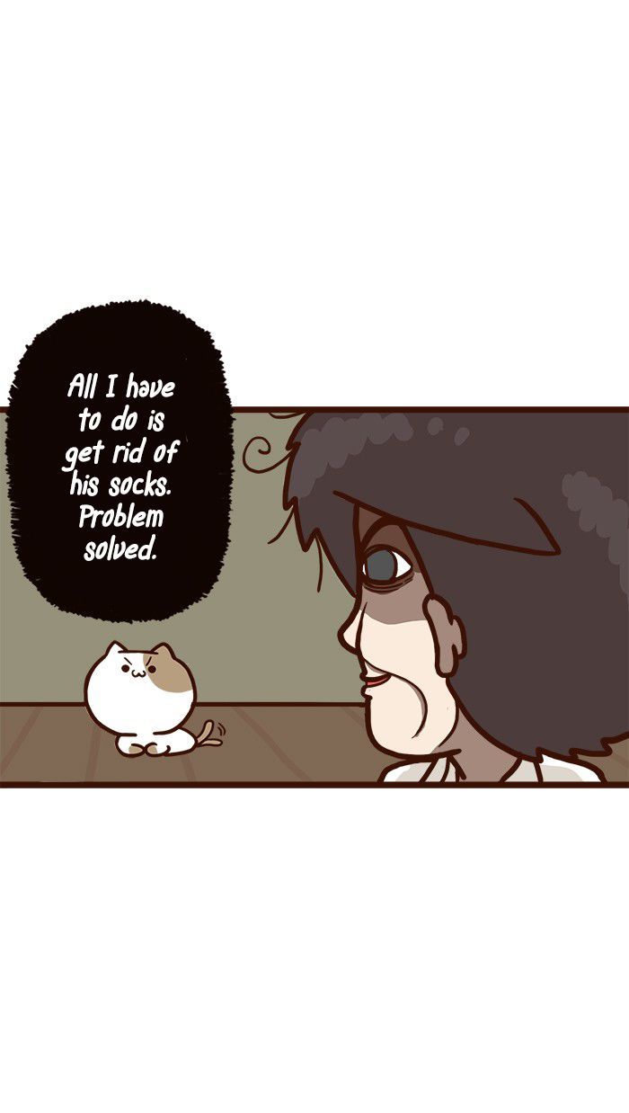 The Salary Man & Tofu the Funny Cat Chapter 9 page 19 - Chapter 9 : Piece of Cake