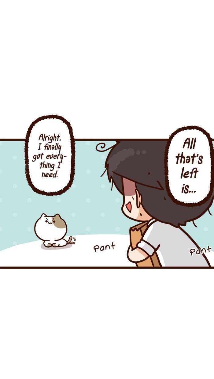 The Salary Man & Tofu the Funny Cat Chapter 9 page 25 - Chapter 9 : Piece of Cake