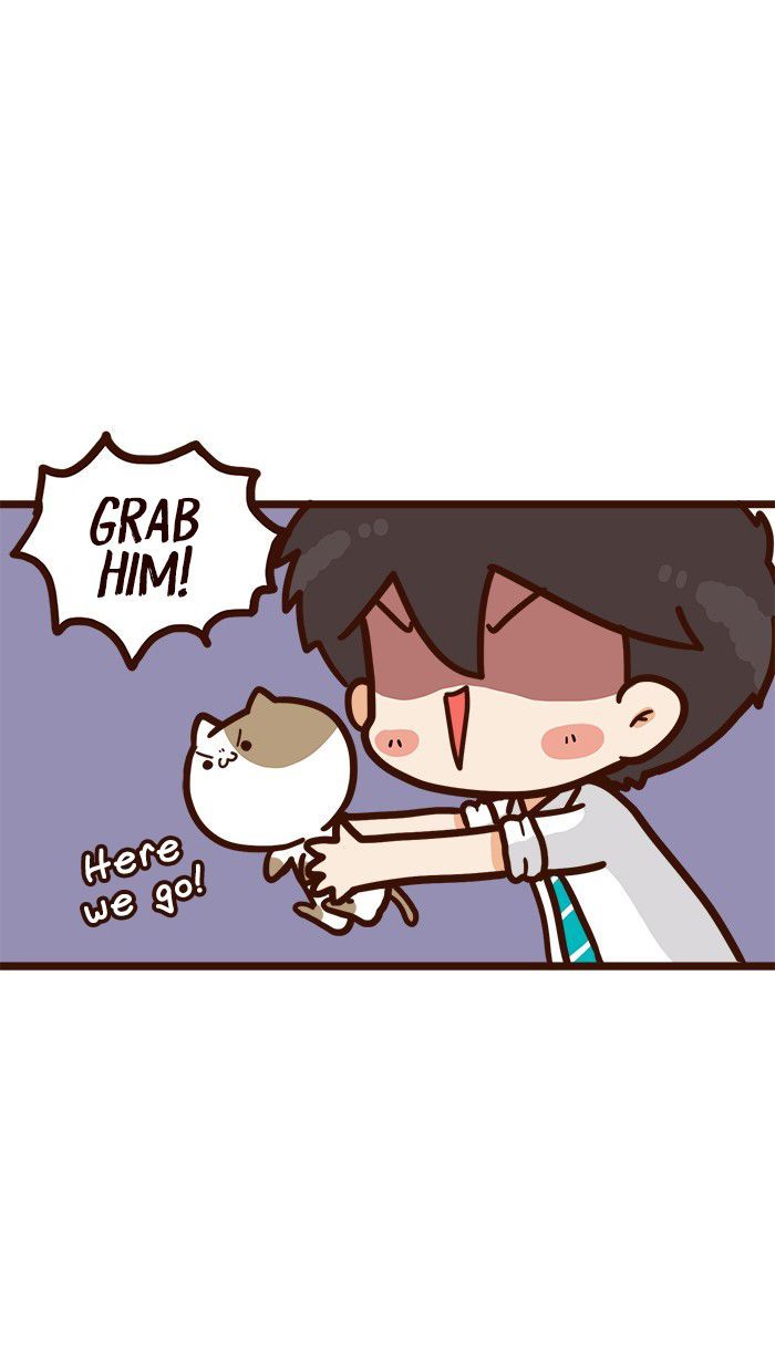 The Salary Man & Tofu the Funny Cat Chapter 9 page 28 - Chapter 9 : Piece of Cake