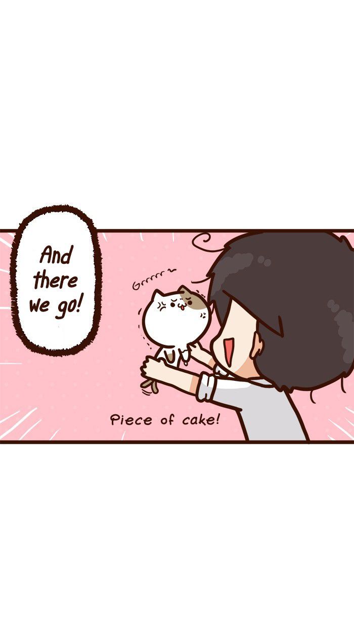 The Salary Man & Tofu the Funny Cat Chapter 9 page 30 - Chapter 9 : Piece of Cake