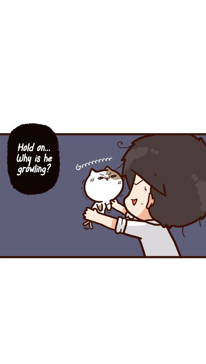 The Salary Man & Tofu the Funny Cat Chapter 9 page 31 - Chapter 9 : Piece of Cake