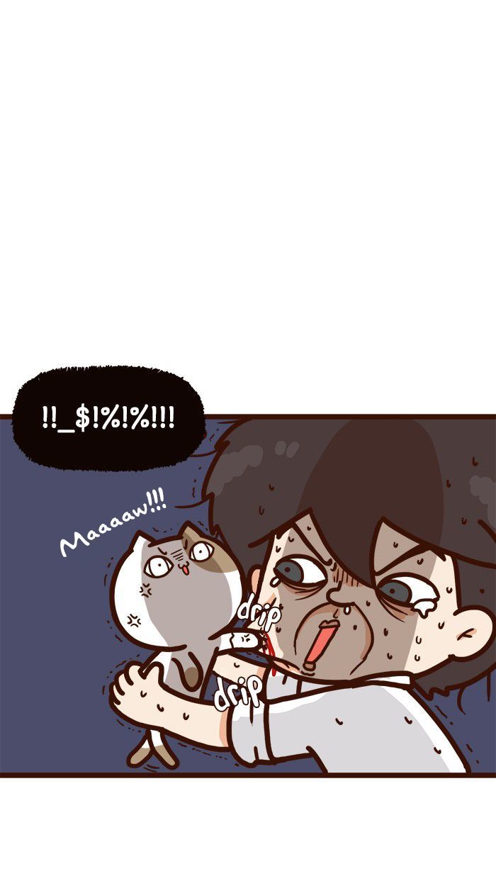 The Salary Man & Tofu the Funny Cat Chapter 9 page 32 - Chapter 9 : Piece of Cake