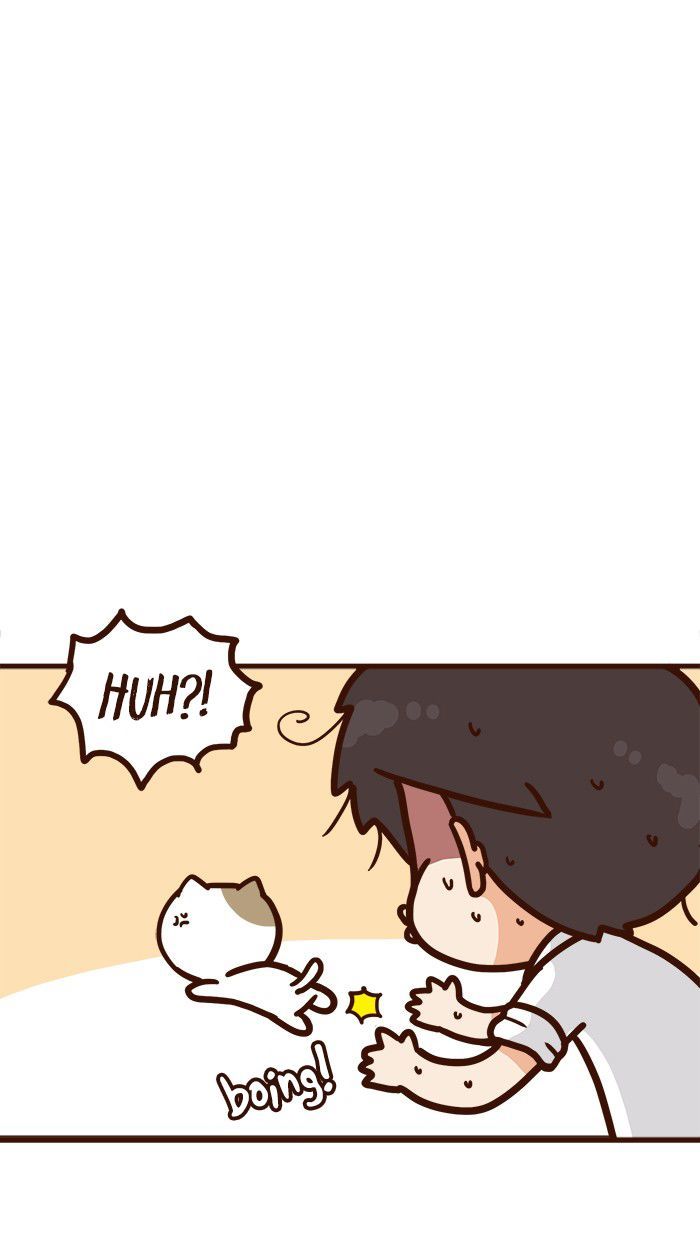 The Salary Man & Tofu the Funny Cat Chapter 9 page 37 - Chapter 9 : Piece of Cake