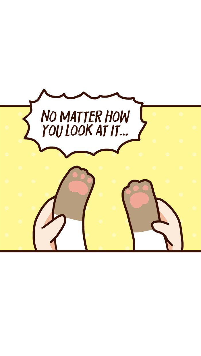 The Salary Man & Tofu the Funny Cat Chapter 9 page 6 - Chapter 9 : Piece of Cake
