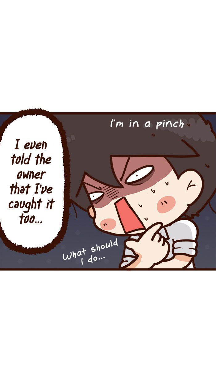 The Salary Man & Tofu the Funny Cat Chapter 9 page 9 - Chapter 9 : Piece of Cake