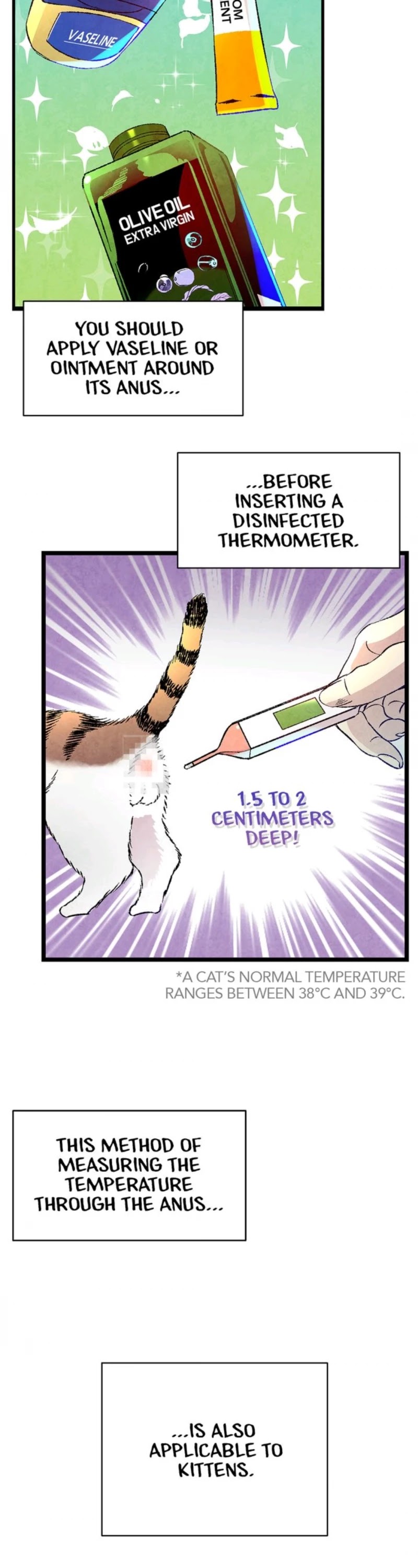 The Skeleton Becomes a Cat Dad Chapter 22 page 13 - Chapter 22