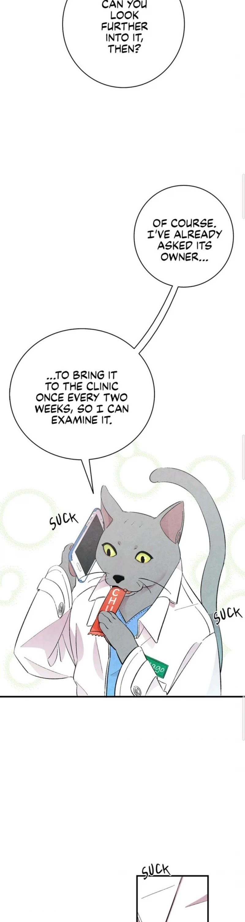 The Skeleton Becomes a Cat Dad Chapter 6 page 26 - Chapter 6