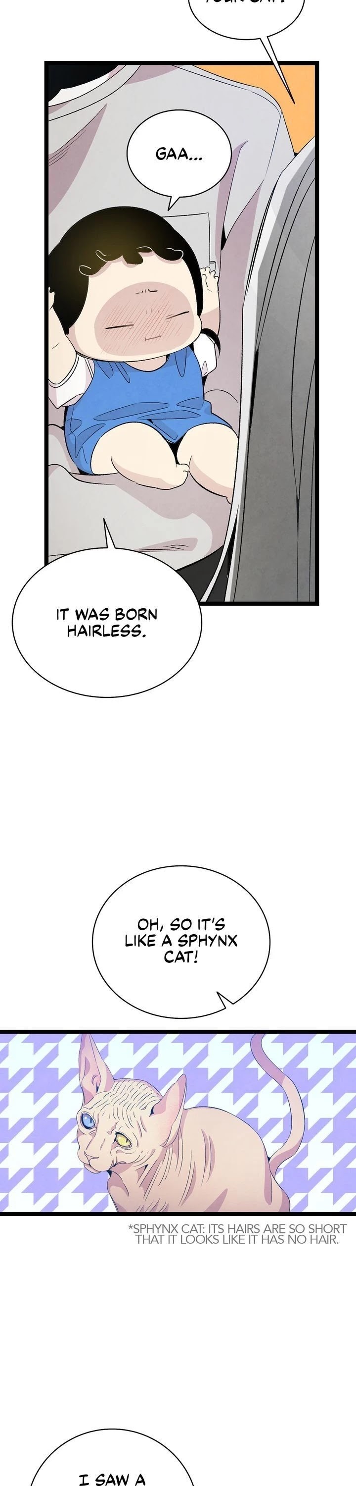 The Skeleton Becomes a Cat Dad Chapter 69 page 17 - Chapter 69