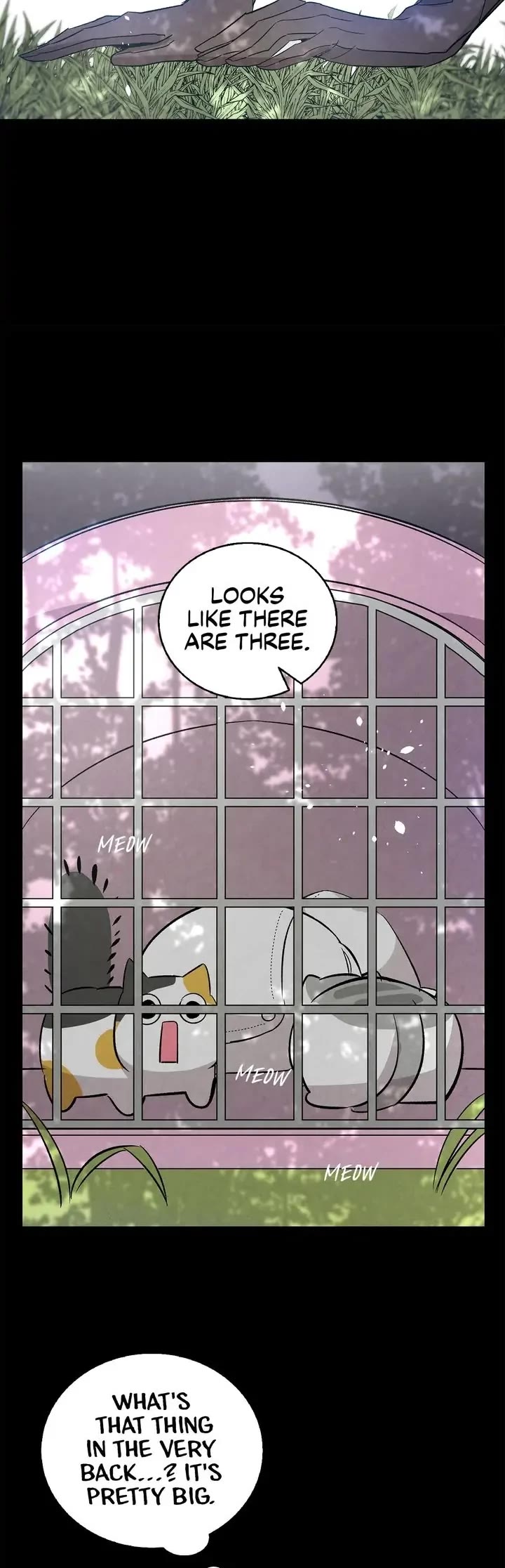 The Skeleton Becomes a Cat Dad Chapter 97 page 28 - Chapter 97