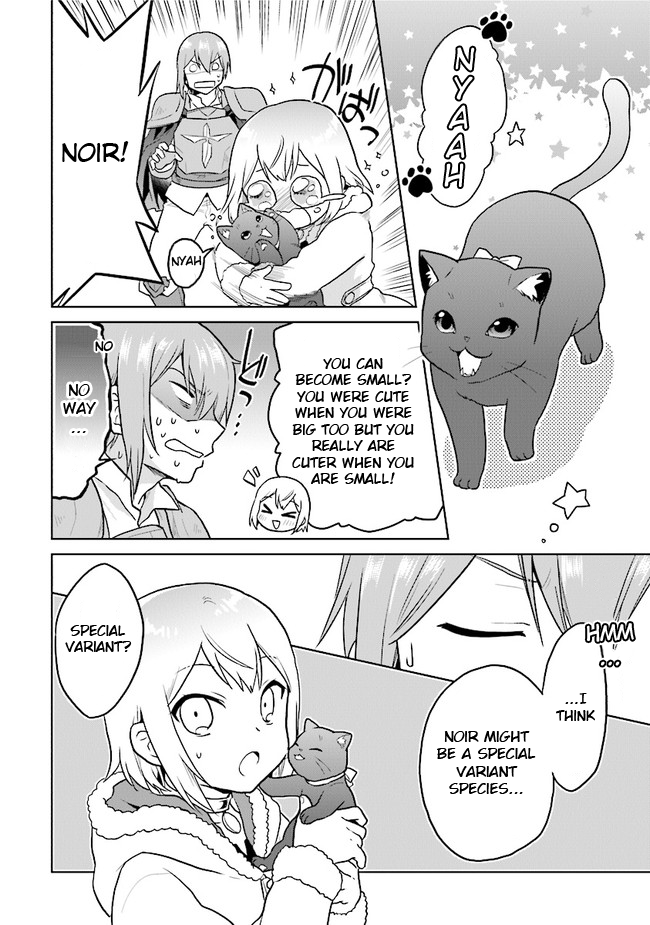 The Small Sage Will Try Her Best In the Different World from Lv. 1! Chapter 17 page 10 - Chapter 17: Why did you become big!?