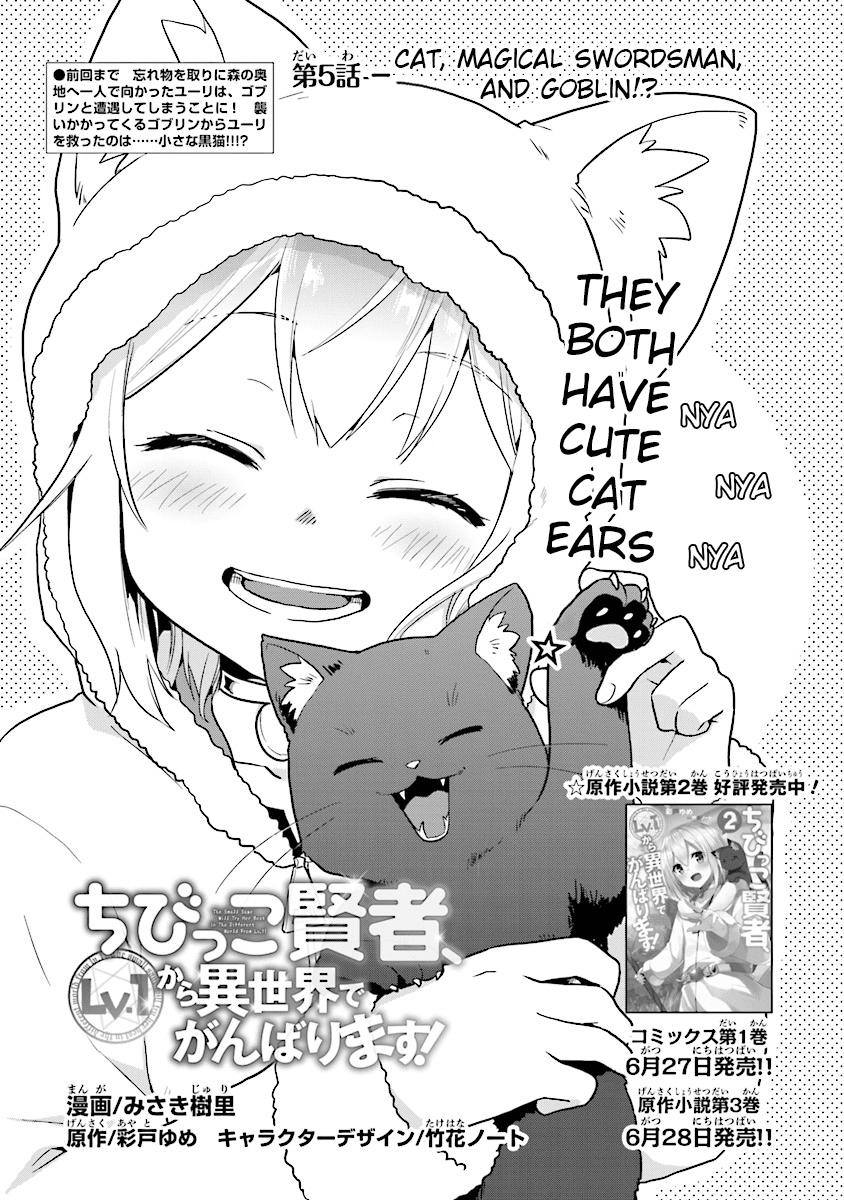 The Small Sage Will Try Her Best In the Different World from Lv. 1! Chapter 5 page 1 - Chapter 5: Cat, magical swordsman, and goblin!?