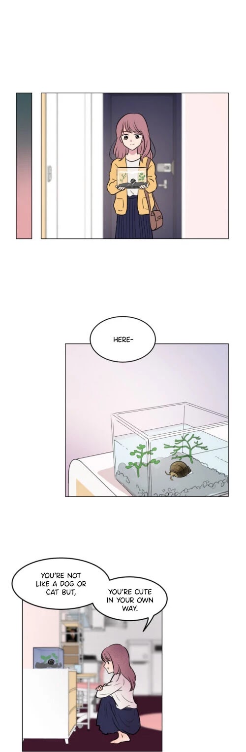 The Snail in My House Chapter 1 page 13 - Chapter 1