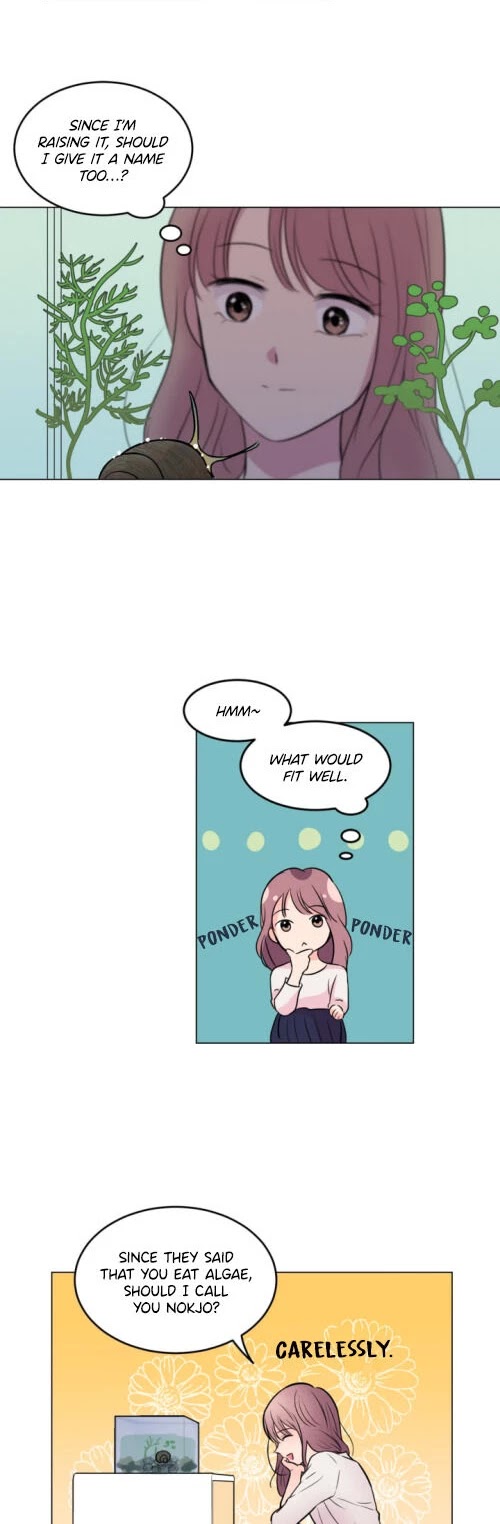 The Snail in My House Chapter 1 page 14 - Chapter 1