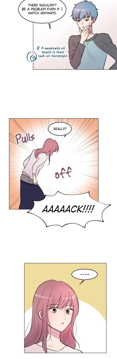 The Snail in My House Chapter 3 page 13 - Chapter 3