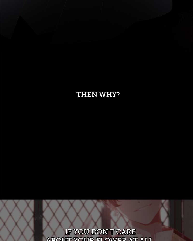 The Snake and the Flower Chapter 8 page 70 - Chapter 8: Episode 8
