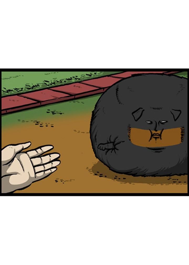 The Sound of Your Heart Chapter 135 page 37 - Chapter 135