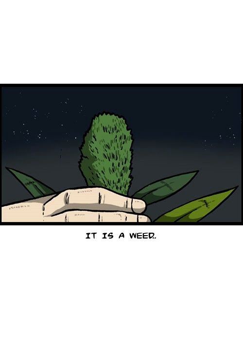 The Sound of Your Heart Chapter 182 page 24 - Chapter 182