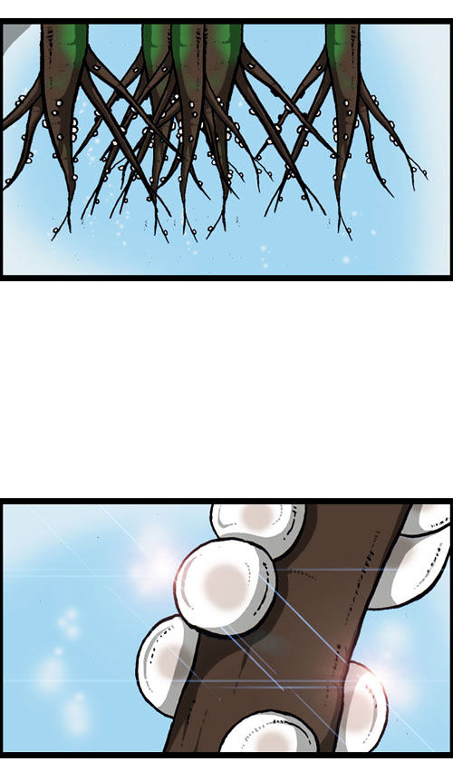The Sound of Your Heart Chapter 206 page 16 - Chapter 206