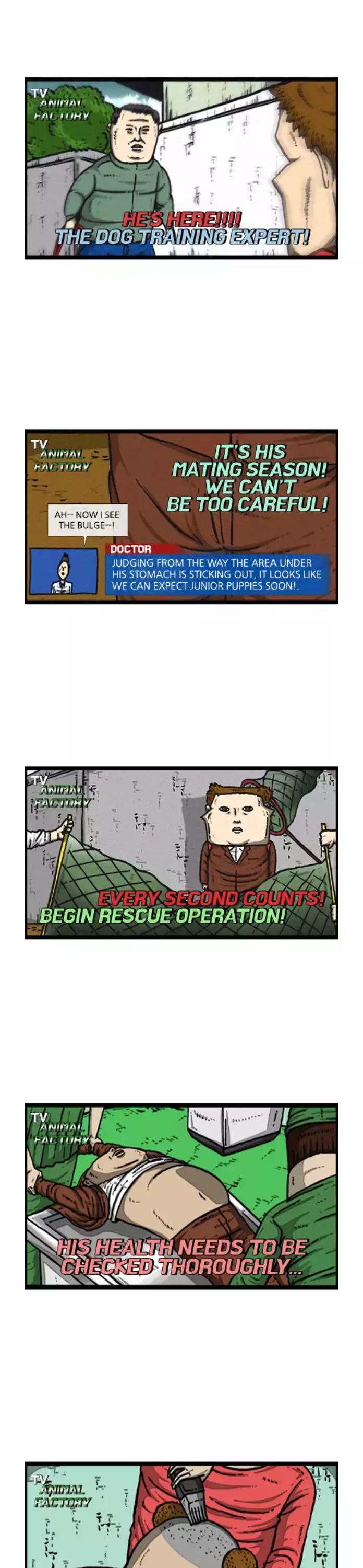 The Sound of Your Heart Chapter 420 page 20 - Chapter 420: Like a dog