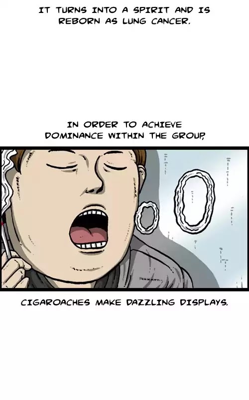 The Sound of Your Heart Chapter 427 page 28 - Chapter 427: Mysterious animal review 2
